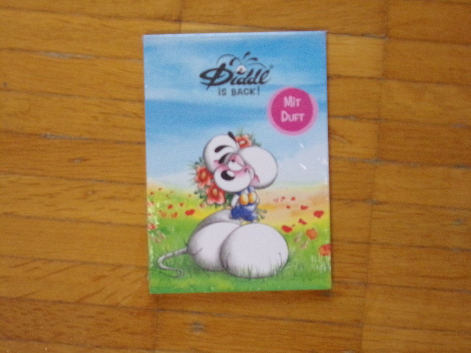 Blocchi: Diddl Block A6 Diddl is Back Diddl mit Blumenstrauss  NEU – Nuovo e nell'imballaggio originale da Winterthur venduto da Jessi_di