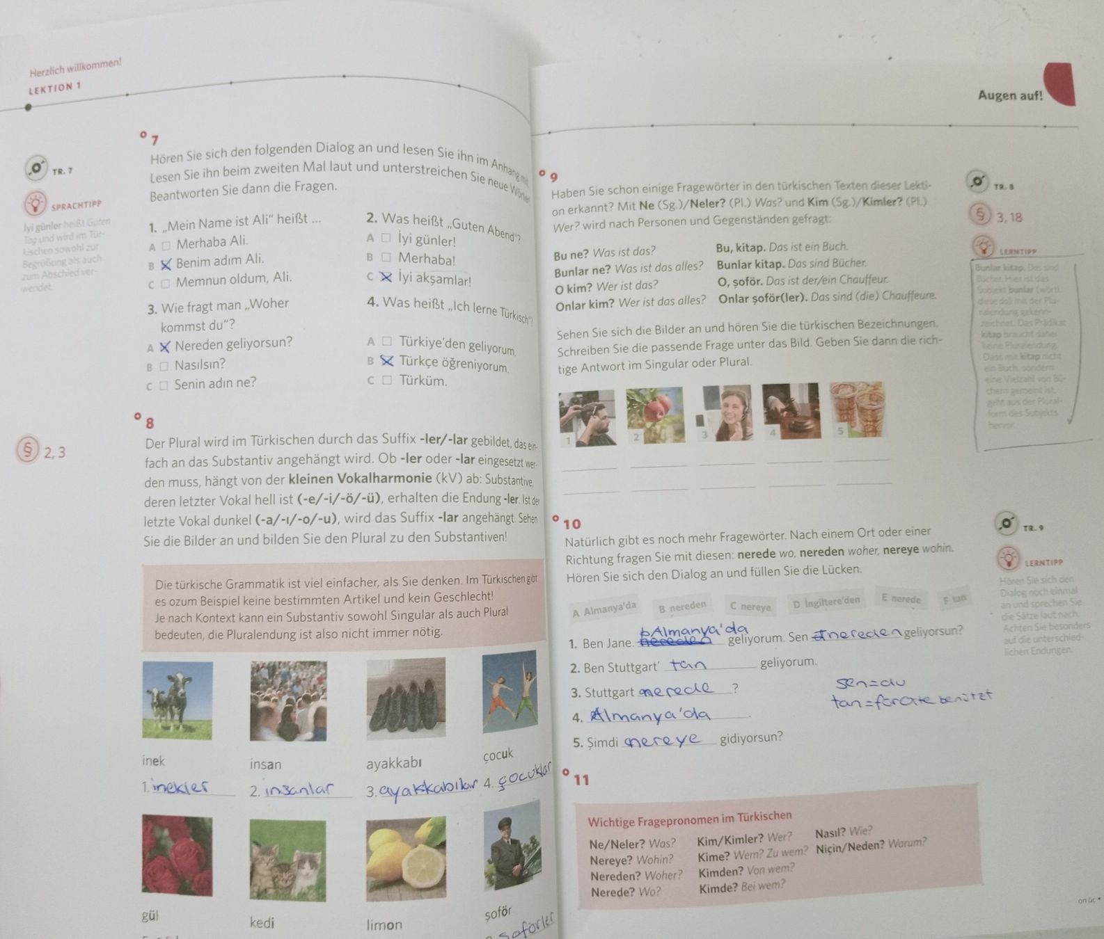 Libri: PONS Türkisch 1 A1 - A2 Sprachkurs  – Usato da Allschwil venduto da Evgeniia78 5