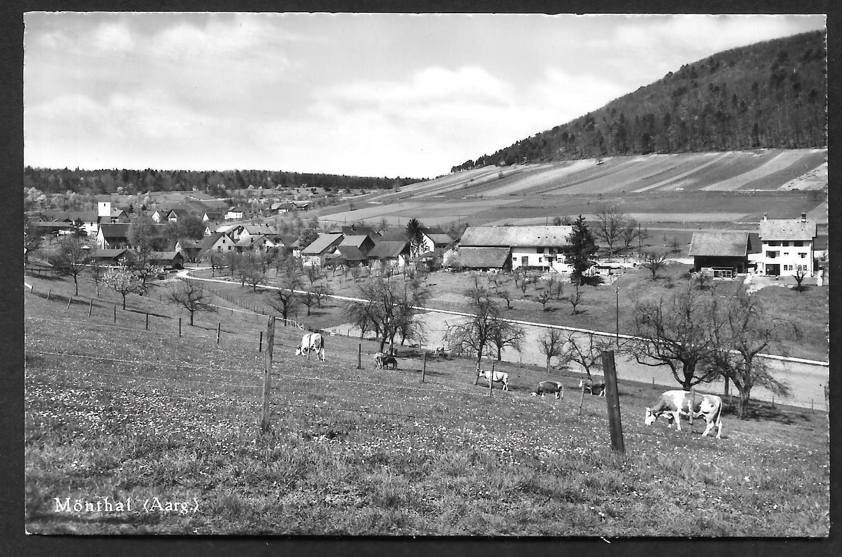 Cartes postales: Mönthal Gesamtansicht – D'occasion à Olten par clotaldi