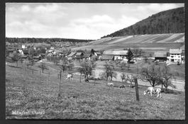 Mönthal Gesamtansicht