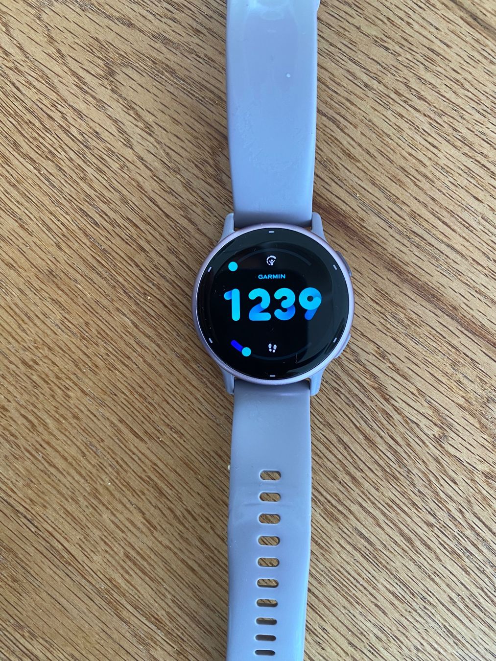 Garmin Smartwatch: Garmin Vivoactive 5 Smartwatch – Usato da Trachslau venduto da M_Schmid81 2