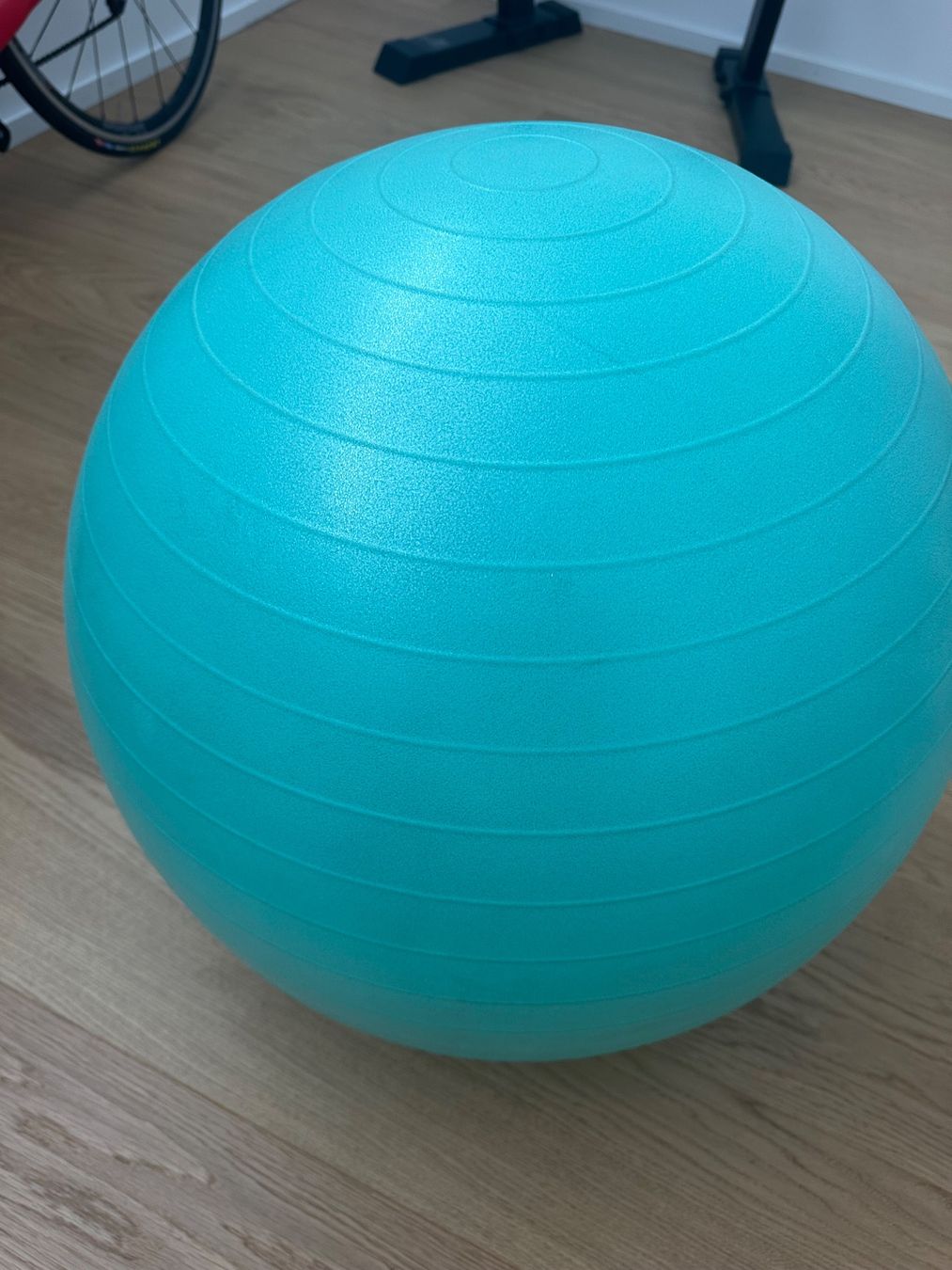 Bälle: Ballon d'exercice – Gebraucht aus Coppet von ano_d7dv 1