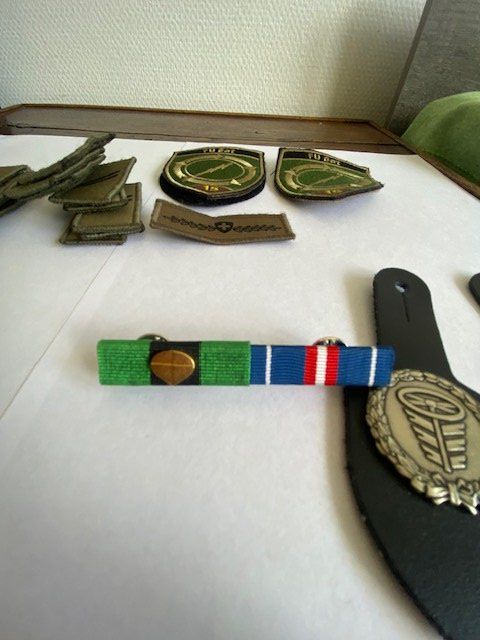 Schweizer Armee Plaketten & Abzeichen: LOT ABZEICHEN UND RIBBON  CH ARMEE – Gebraucht aus Chur von silbermon 3