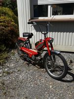 Pony Junior Sachs 504 Mit Ausweis