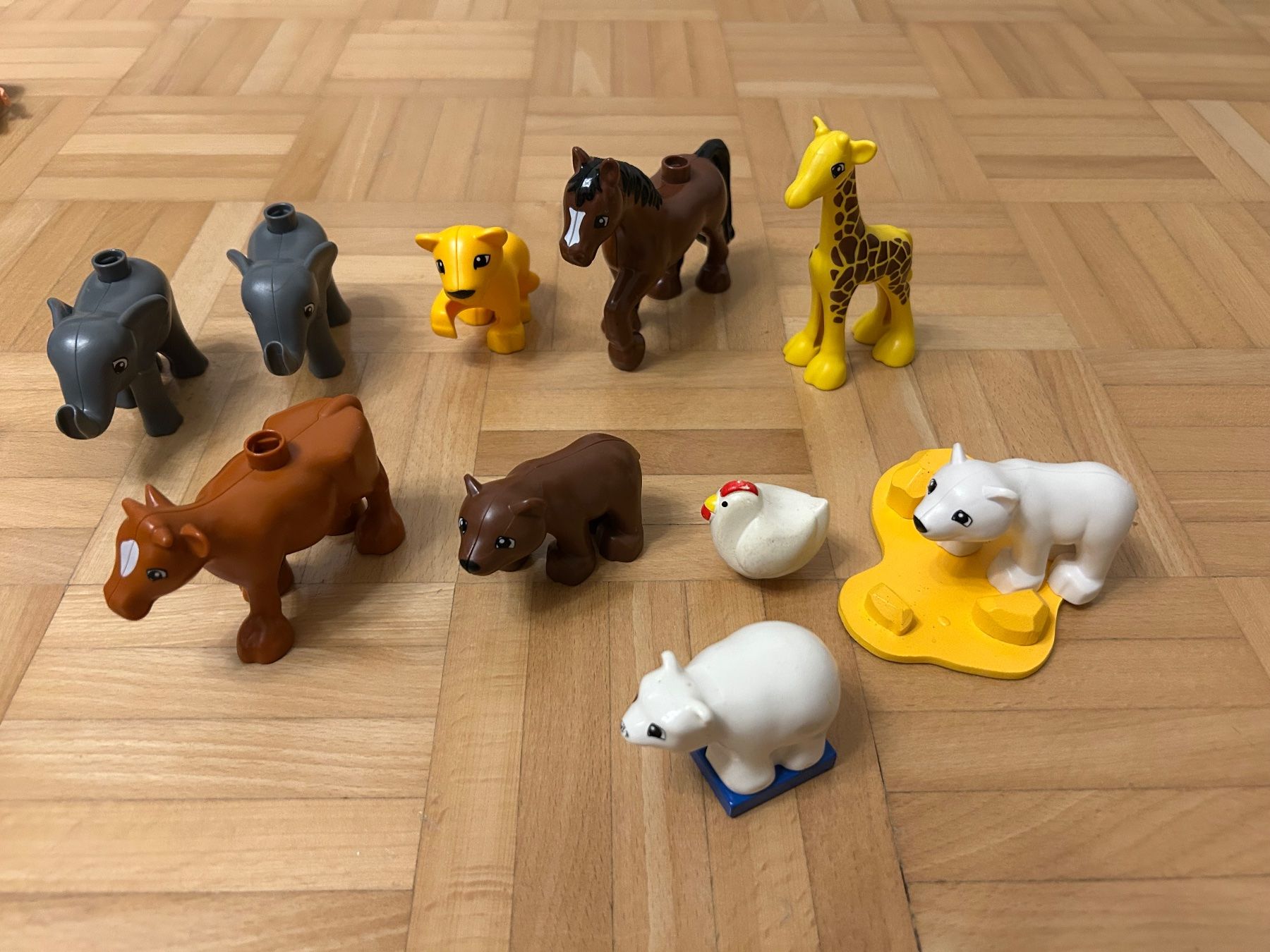 Lego Giocattoli: Lego Duplo – Usato da Meggen venduto da NadyaSt 5