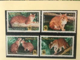 WWF Senegal 1997 afrikanische Goldkatze Satz postfrisch