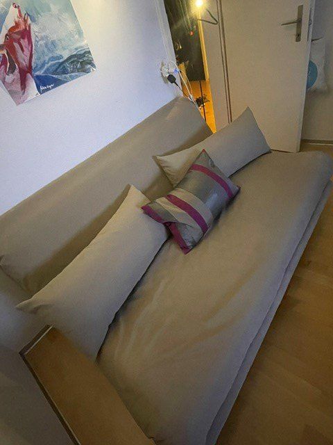 Ligne Roset Divani: Bettsofa hochwertig – Usato da Zauggenried venduto da ClaudineDutti 3