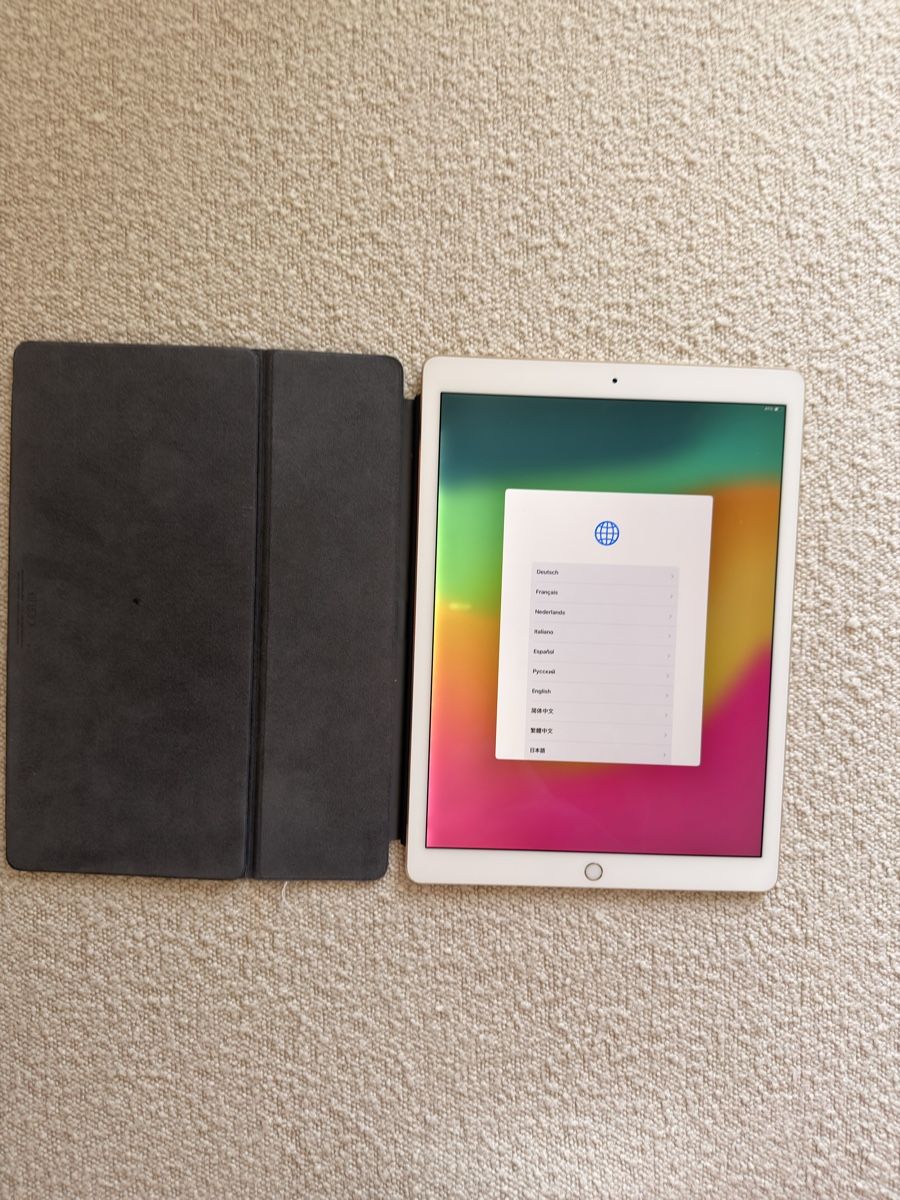 Apple Tablet PC: iPad Pro (12.9-inch) (2nd Generation)  – Usato da Uitikon Waldegg venduto da sdman 2