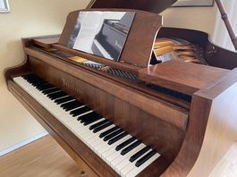 Flügel, Bösendorfer 170, Nussbaum, offenporig