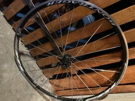 Roue arrière Bontrager 28"