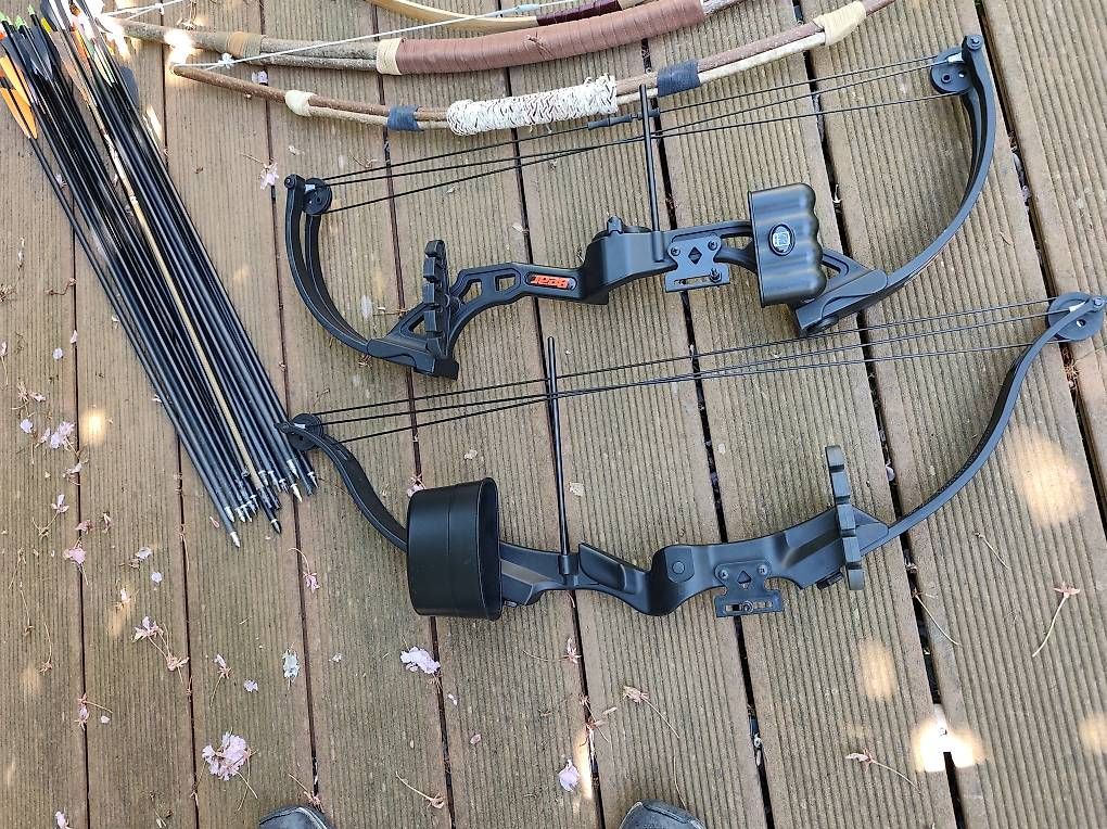 Tiro con l'arco: 17 Stück Pfeilbogen Compound Pfeile – Usato da Flüelen venduto da Siro3 2