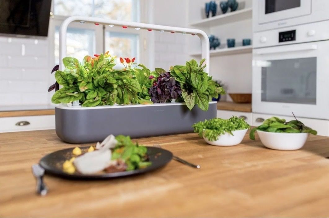 Vasi per fiori: Click and Grow Smart Garden 9 – Nuovo (secondo la descrizione) da Stalden VS venduto da san_ws9b 3