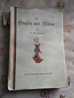 Biel Bienne Die Grafen von Nidau Buch 1924
