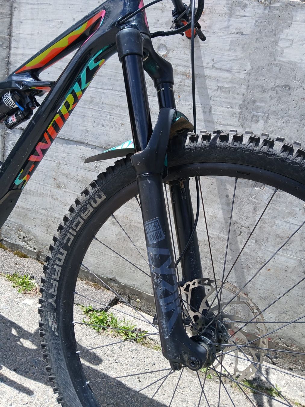 Specialized Biciclette: Specialized Enduro S-works Gr.S – Usato da Davos Dorf venduto da Benji81992 9