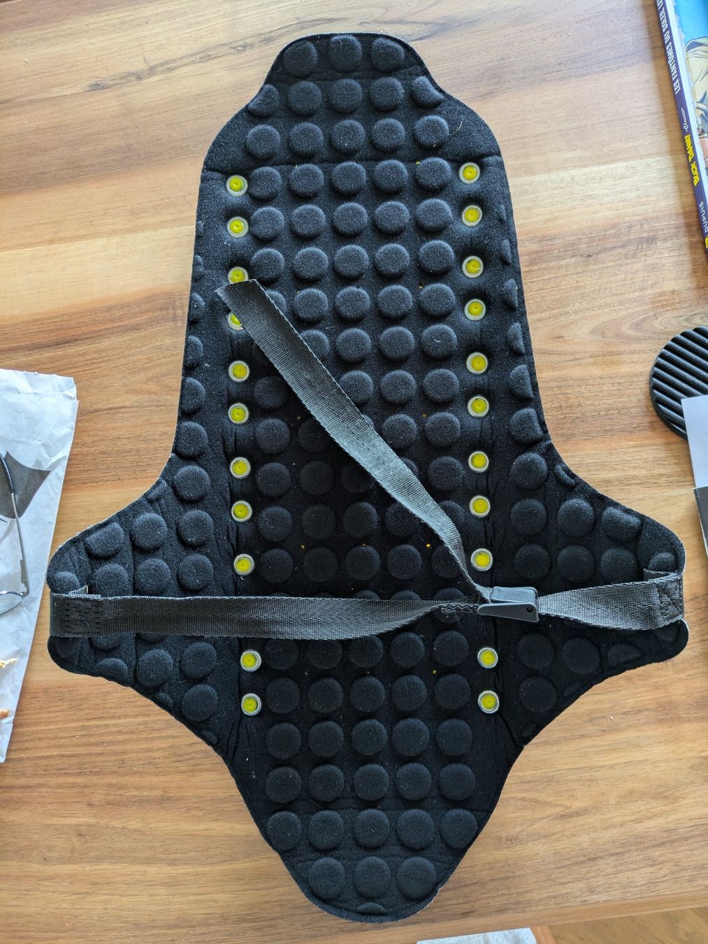 Dainese Protezioni & Imbottiture: Rückenpanzer – Usato da zürich venduto da maxfisch 1