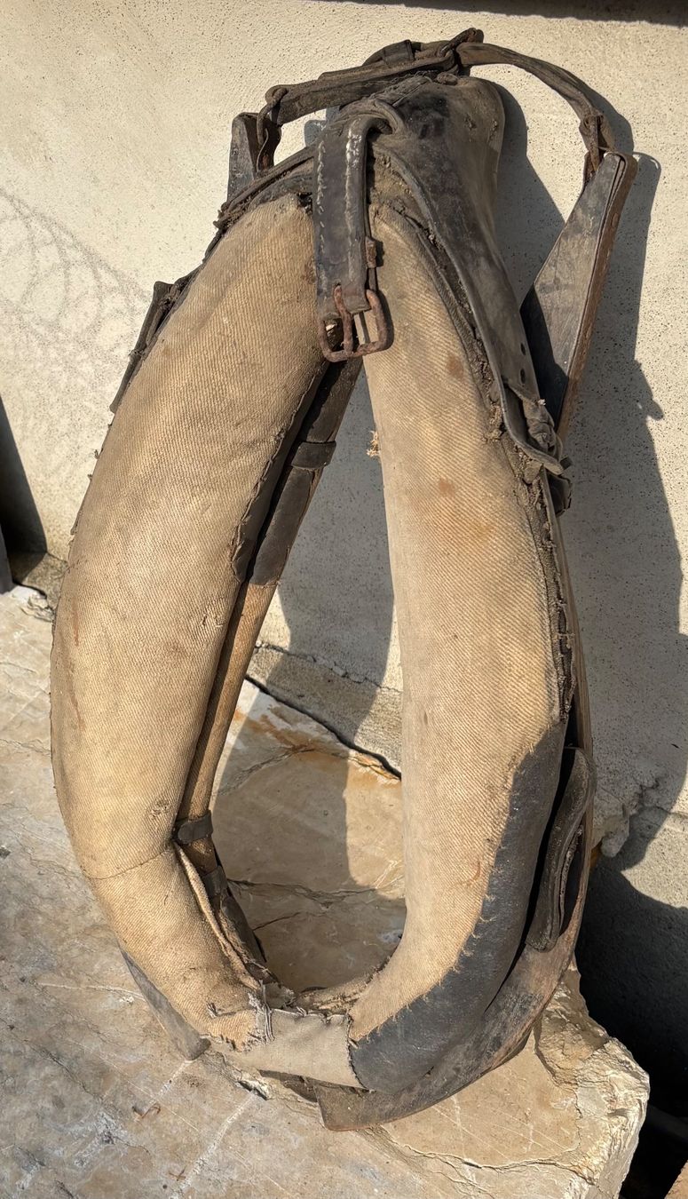 Tutte le decorazioni: Pferdekummet antike – Usato da Roggwil BE venduto da hausamsee14 3