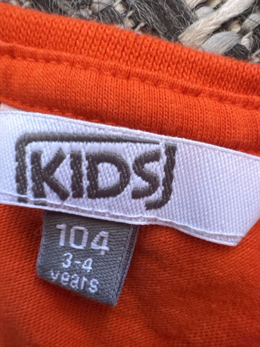 Maglioni & Felpe: Langarmshirt orange Dinosaurier Grösse 104 – Nuovo (secondo la descrizione) da Zürich venduto da Belisimo 2
