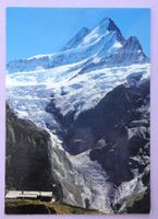 Grindelwald-First, Schreckhorn