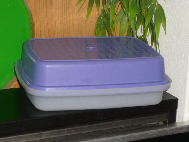 Tupperware Contenitori & Simili: TUPPERWARE 24X19 CM. H. 8 CM. CA. – Usato da St.Gallen venduto da Anso