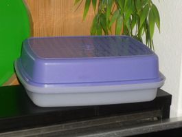 TUPPERWARE 24X19 CM. H. 8 CM. CA.