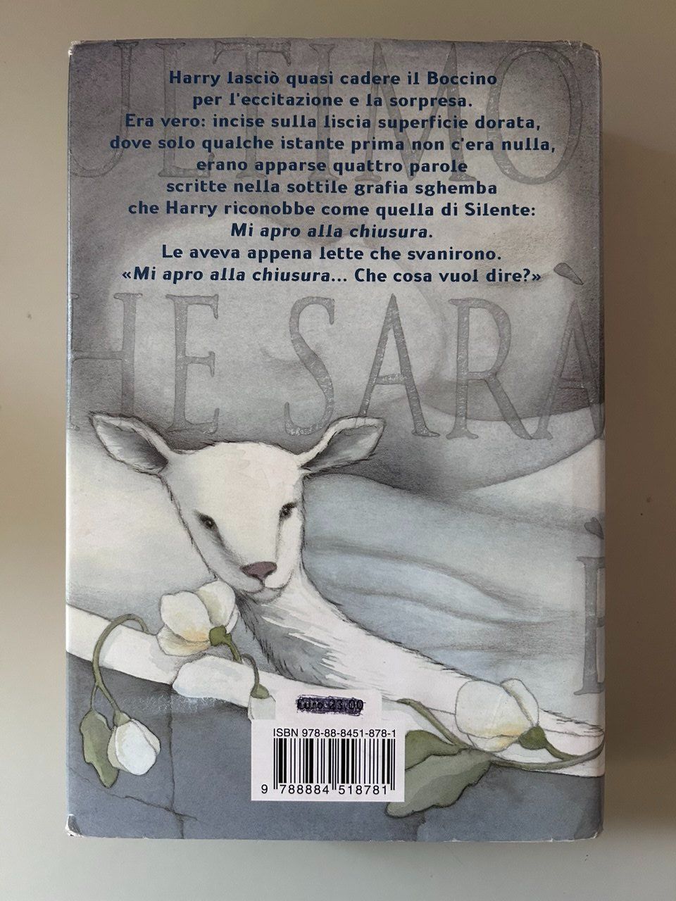 Libri: Harry Potter e i Doni della Morte 2008 – Usato da Giubiasco venduto da LorisVale 1