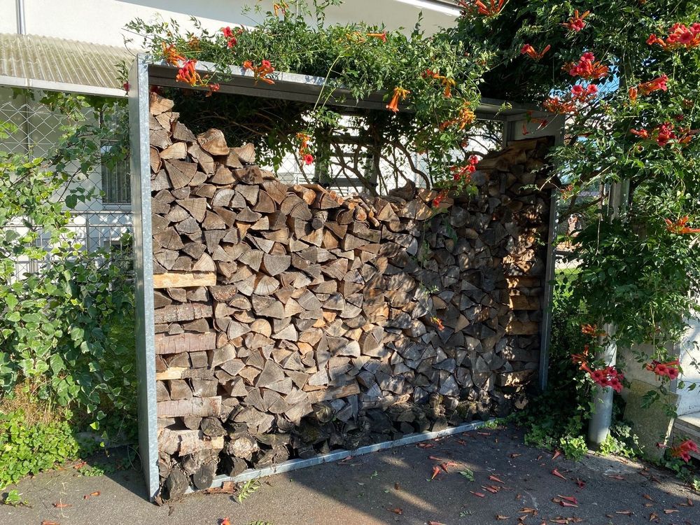 Kaminholzregal, Holzregal, Holzgestell Stahl für Brennholz (Gebraucht ...