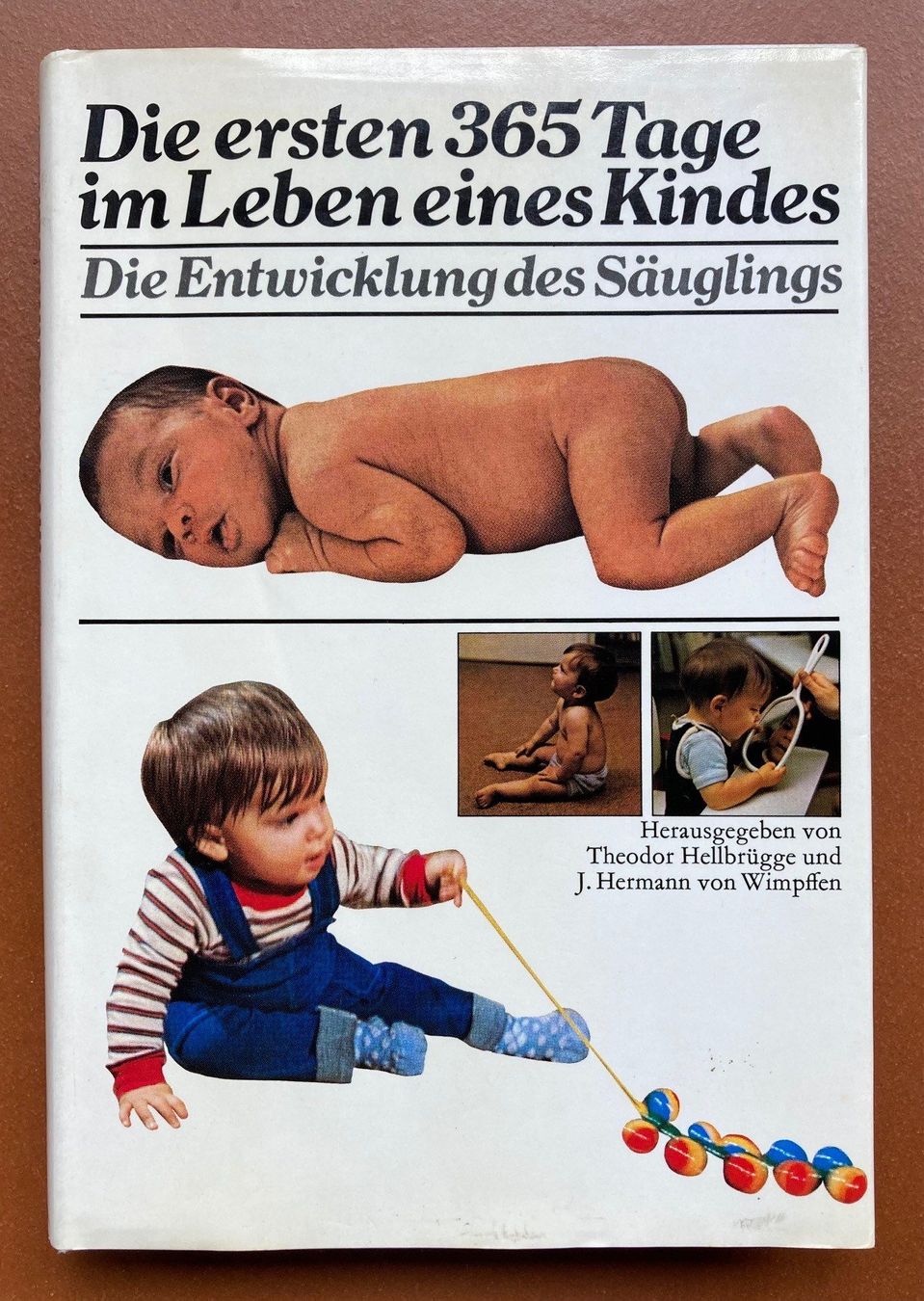 Libri: Die ersten 365 Tage im Leben eines Kindes – Usato da Orselina venduto da Vrenegonde