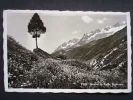 AIROLO Motivo in Valle Bedretto - gel. Feldpost