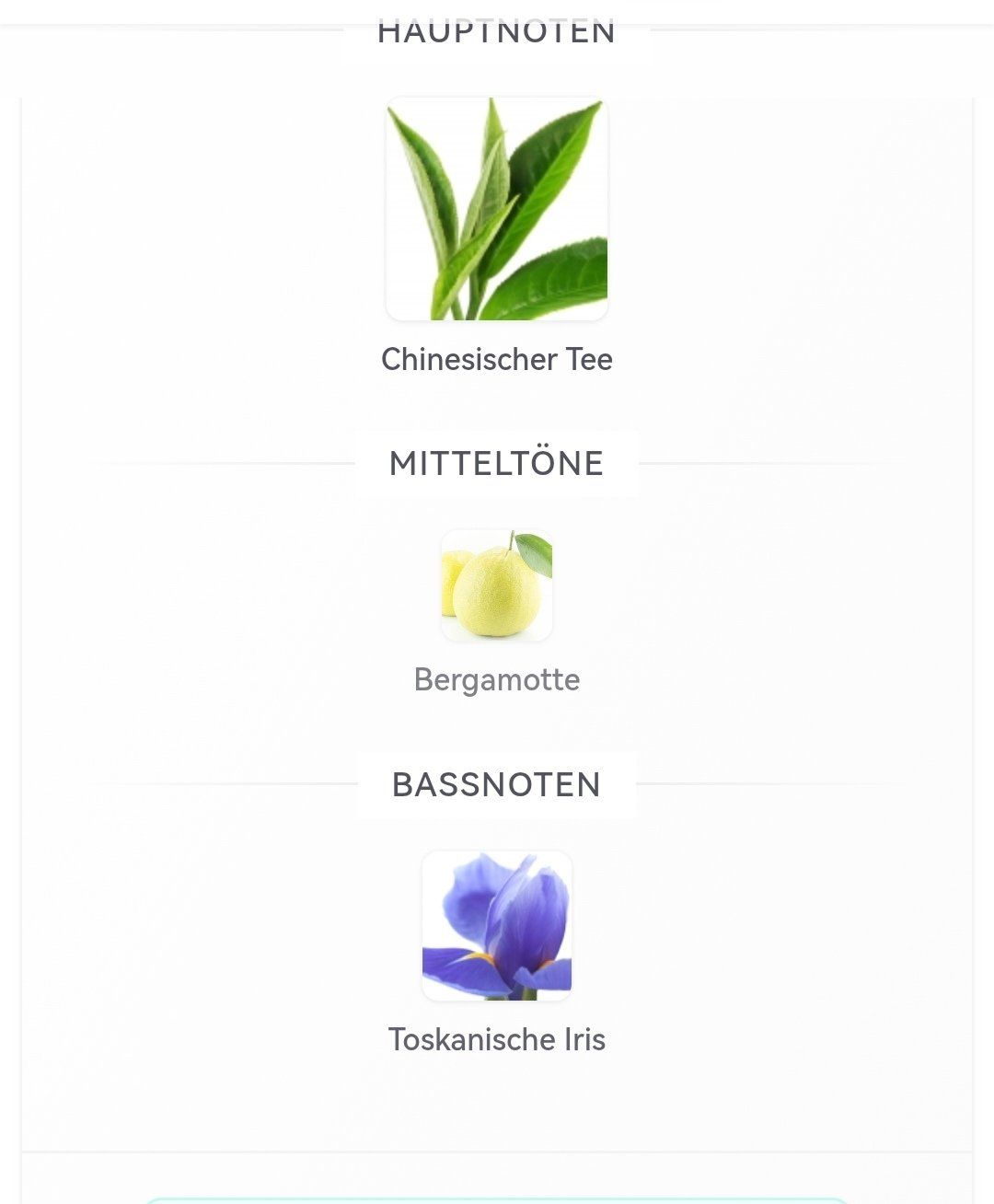 Estée Lauder Profumi & Eau de Toilette: Estee Lauder Tender Light, Thé Duft Parfum 100ml – Usato da Bösingen venduto da Freejack69 2