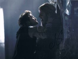 Cam Gigandet 1982- Twilight Autogramm signiert Foto 20x25cm