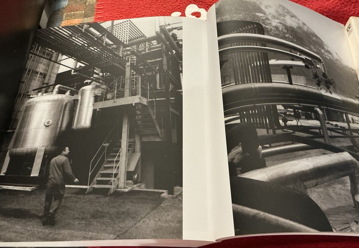 Libri: Wallis Ein industriefeindliches Volk ? - Werner Bellwald – Usato da Crans-Montana venduto da plainemorte 6
