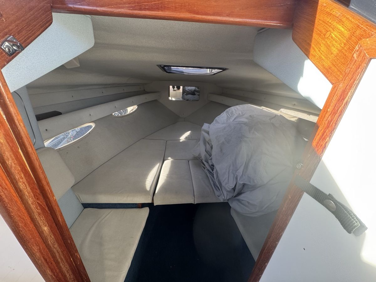 Sea Ray Boote: Sea Ray Cuddy Cabin – Gebraucht aus Wilen b. Wollerau von Loonyacht 6