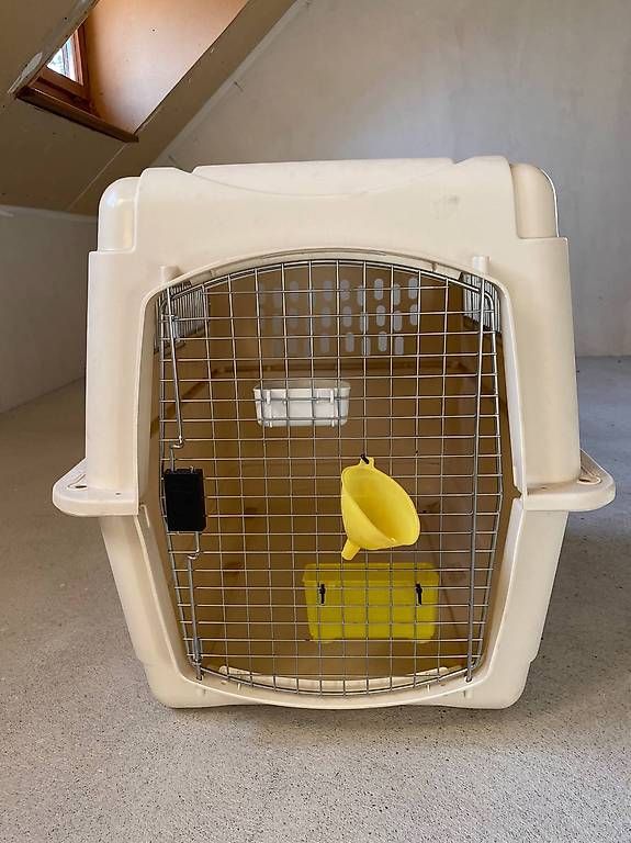 Gabbie, trasporto & Sicurezza: Box transport chien – Usato da Hermance venduto da Alfaiate