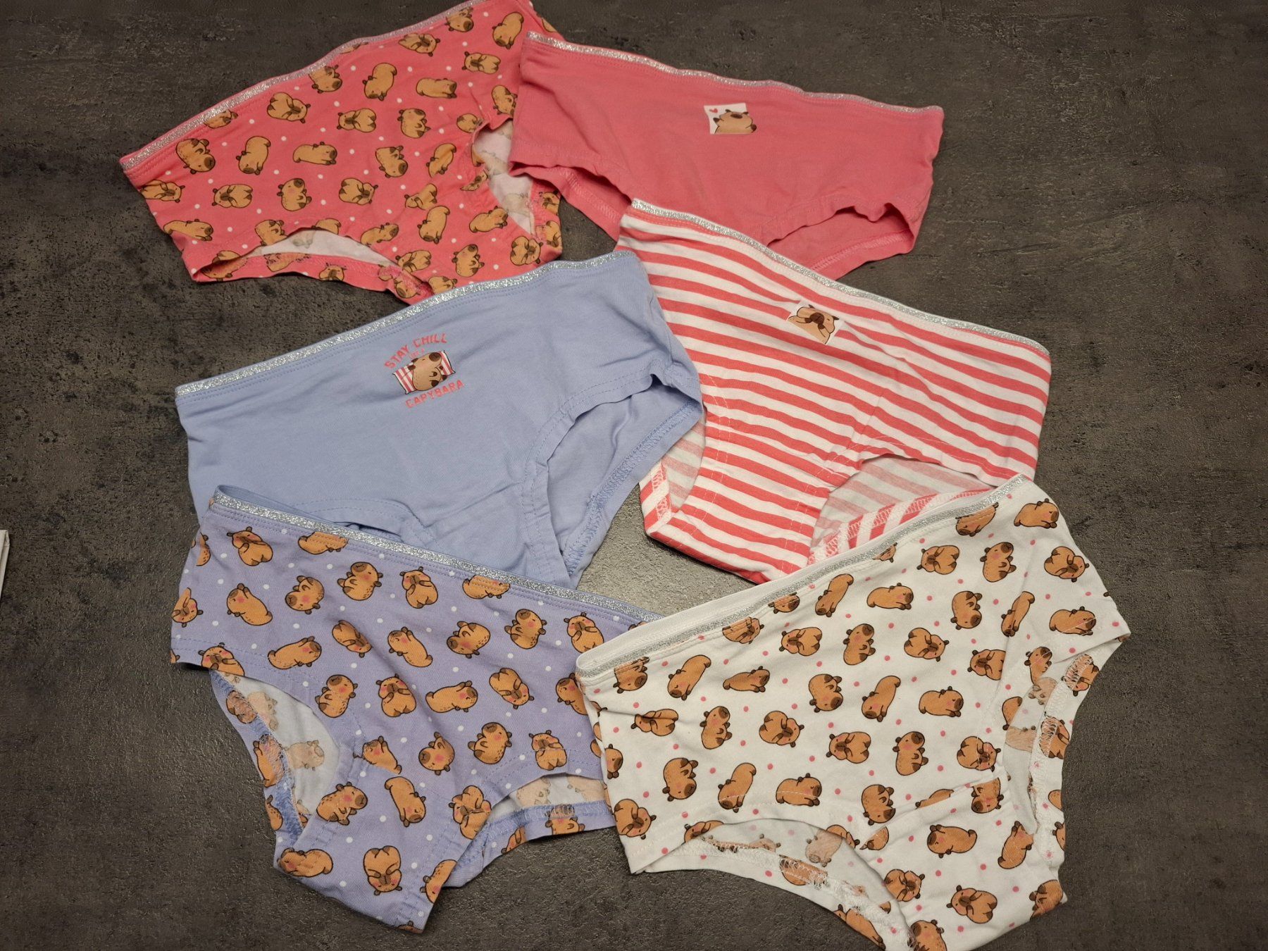 Primark Biancheria intima: 6 Paar Unterhosen / Slips Capybara Gr. 134/140 – Usato da Mels venduto da Aloha86