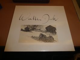 Kunstbuch Steinige Bergwelt Walter Dick neuwertig