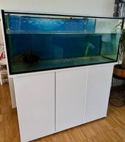 300l Aquarium komplett mit Schrank und Filter
