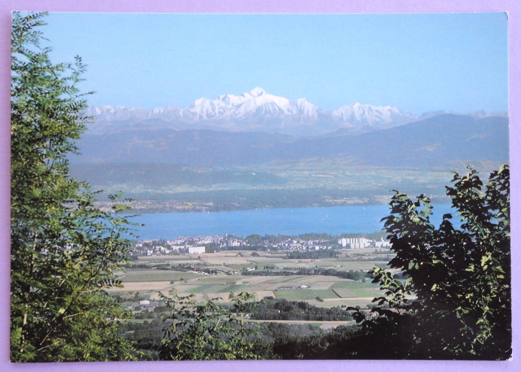 Cartoline postali: Nyon et le Mont-Blanc – Usato da Fétigny venduto da Billy2miny