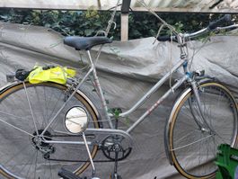 Clio Damenfahrrad