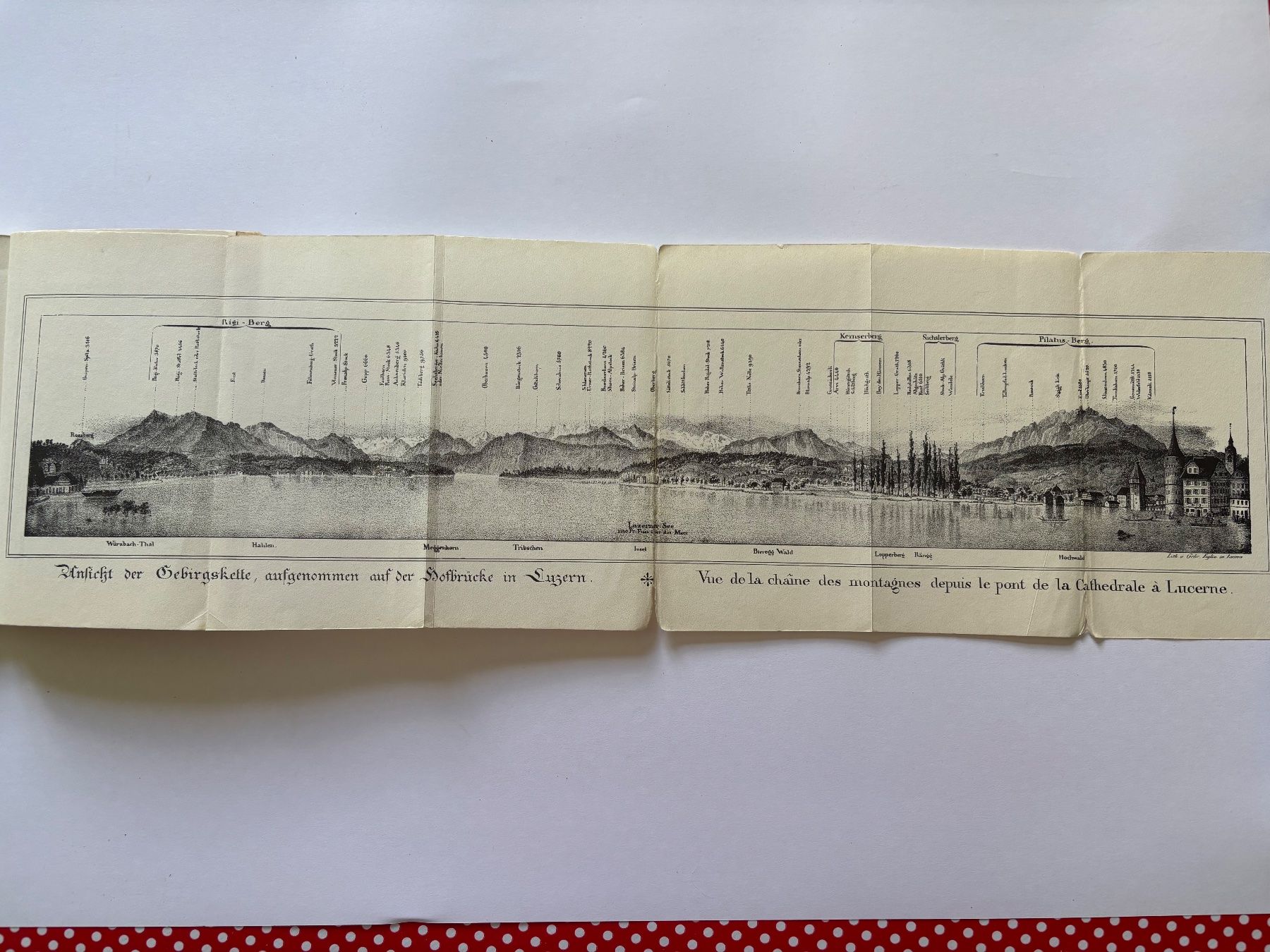 Libri: Dampfschifffahrt auf dem Vierwaldstättersee – Usato da Wangen b. Olten venduto da oldies6 5