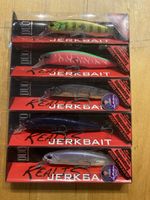 DUO Realis Jerkbait 100SP Suspended, neuwertig im Winter! (5