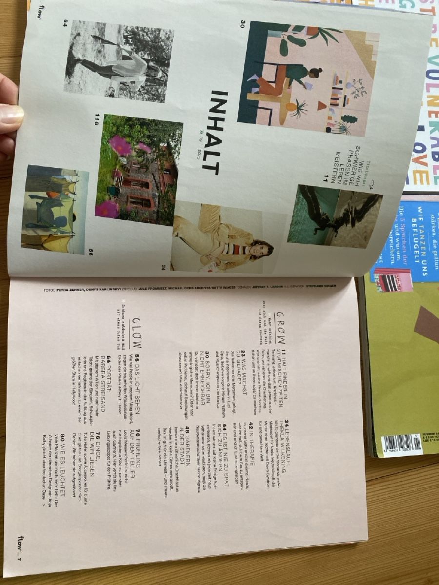 Revues & Magazines: Vier Flow Magazine – D'occasion à Villmergen par Fabiola22 2