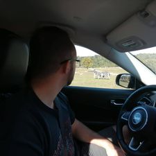 Profile image of likethemac
