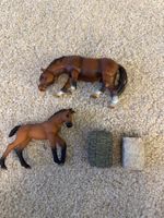 Schleich Pferde Set, Stute mit Fohlen und Zubehör!