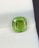 Tourmalina Natürlich Green! Sehr großes Einzelstück! Top 