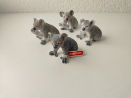 Schleich Neu Koala Bär 4 Farben=Jahrgang Wild Life Set