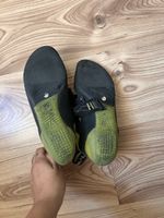 Kletterfinken