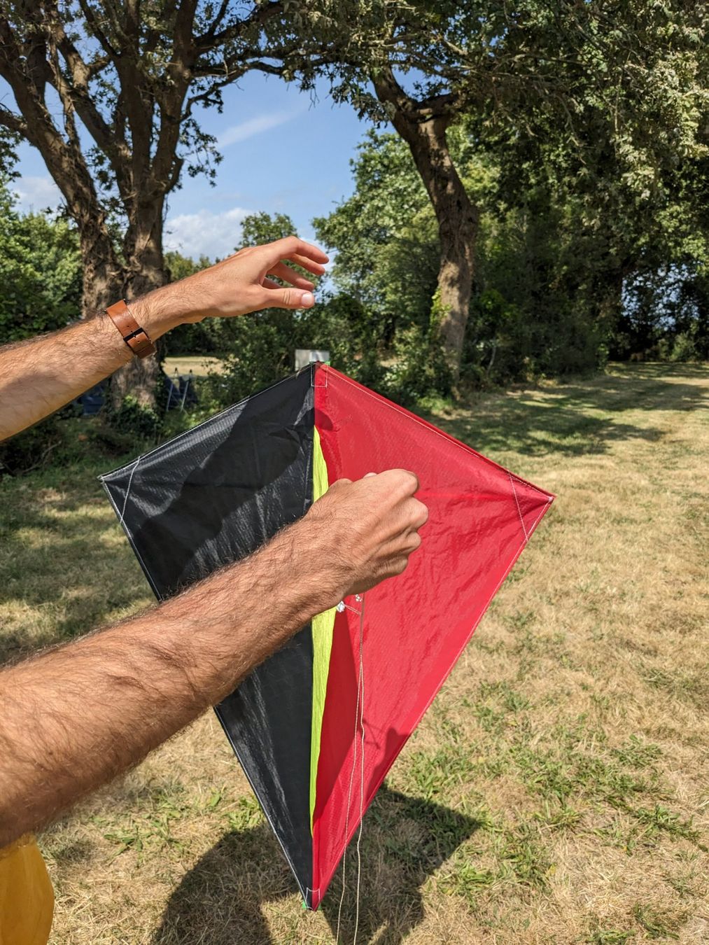 Giocattoli: toller Drachen – Usato da Basel venduto da labaffe01