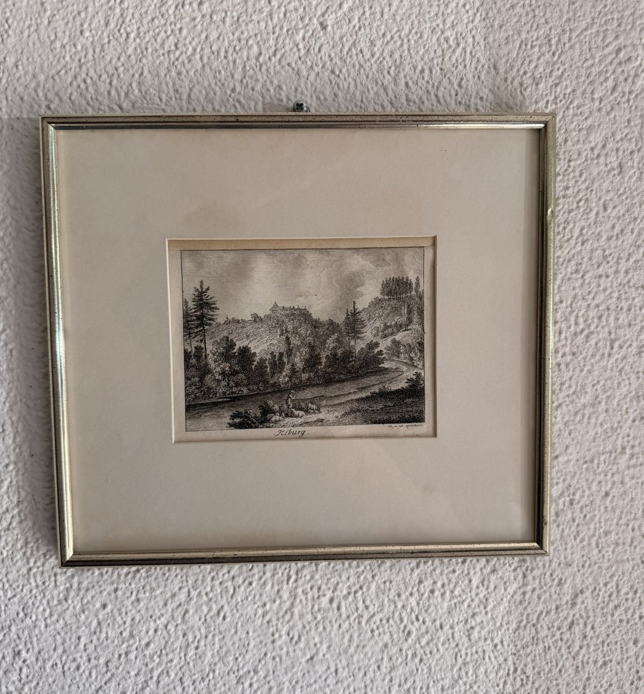Dipinti: Johann Rudolf Schellenberg Kiburg – Usato da Zürich venduto da Enoooo
