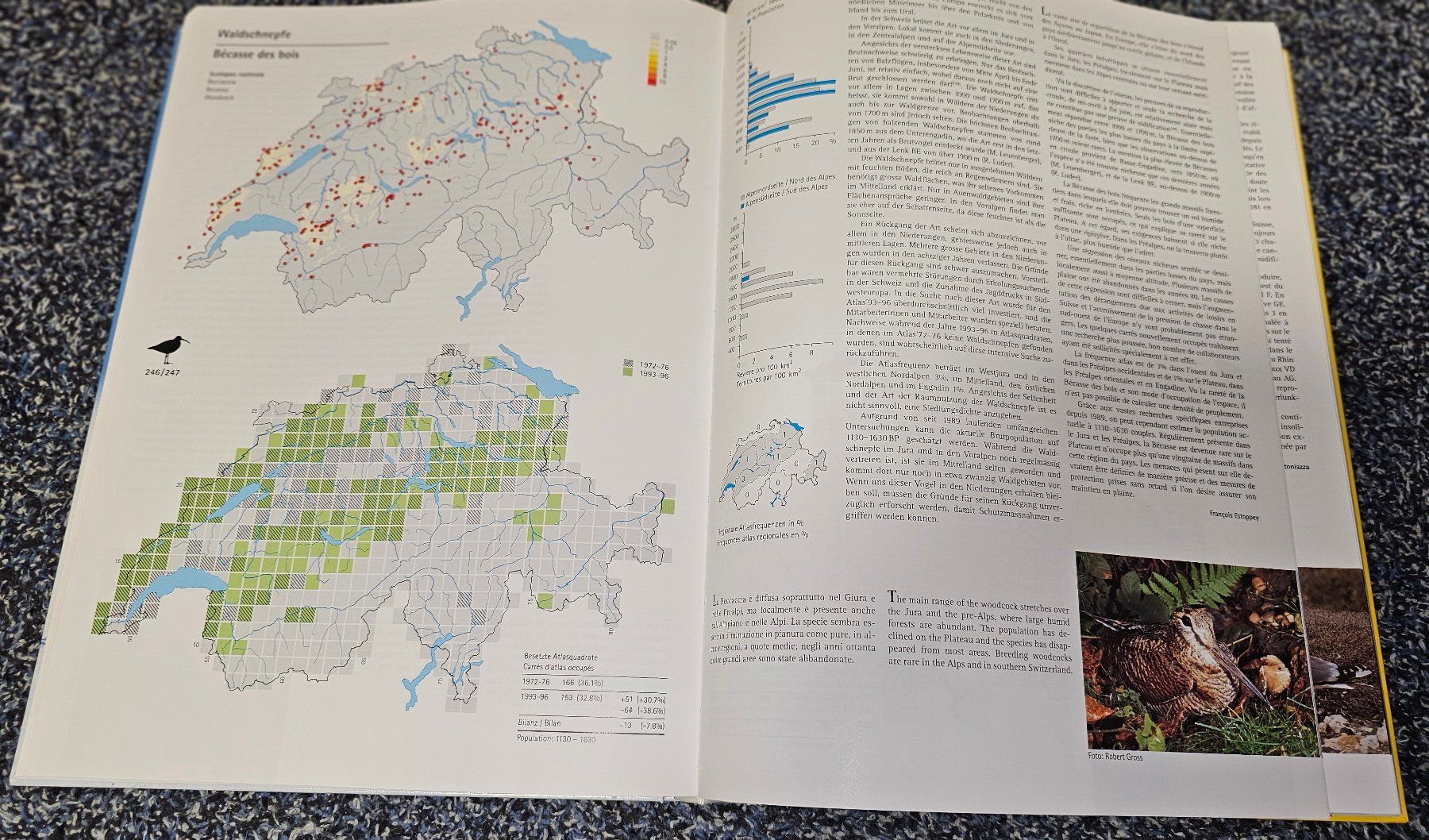 Libri: Schweizer Brutvogelatlas 1993-96 - Selten / Vogelwarte – Nuovo (secondo la descrizione) da Witterswil venduto da Regus 2