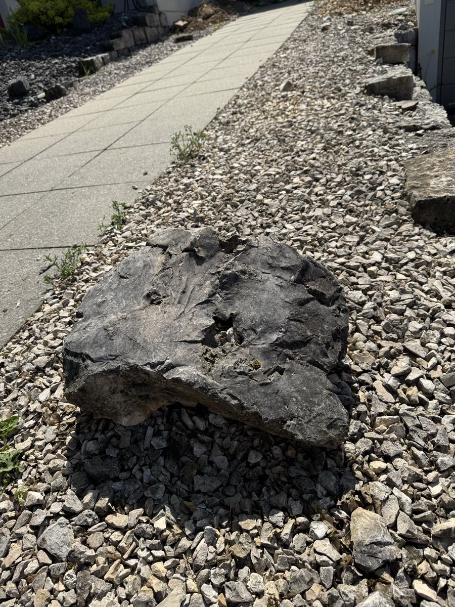 Pietre & tegole: Randsteine / Gartensteine fast gratis - selbstabholen 8182 – Usato da Hochfelden venduto da Patrick_222 9